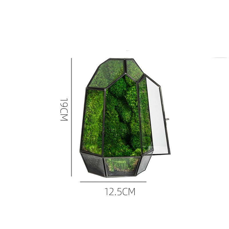 Ecological Bottle Potted Plants