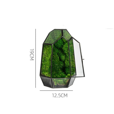 Ecological Bottle Potted Plants